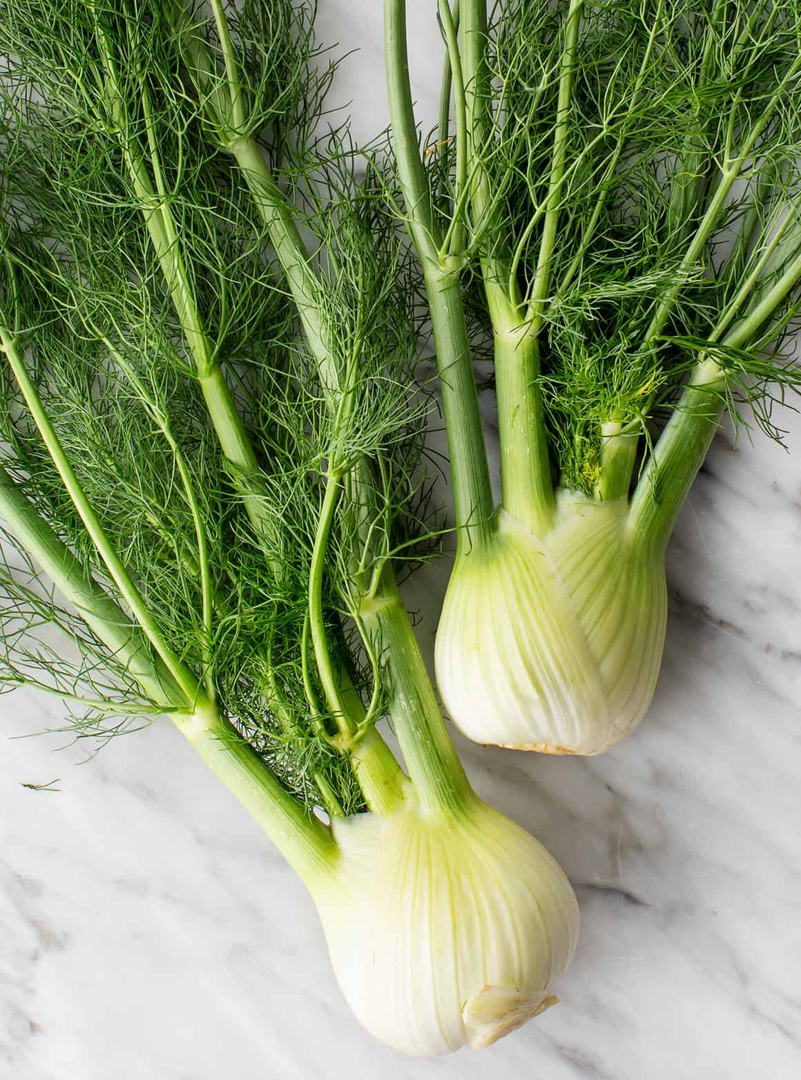 Green fennel salad