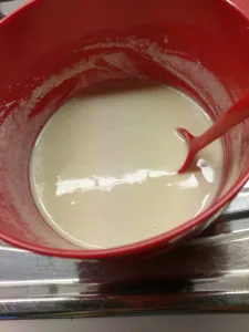Sourdough rice flour starter