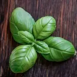 My ‘non-pesto’sauce
