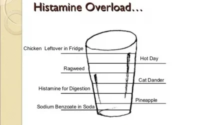 Histamine overload- is that a ‘thing’?