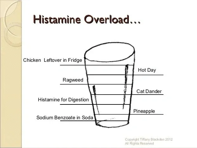 Histamine overload- is that a ‘thing’?